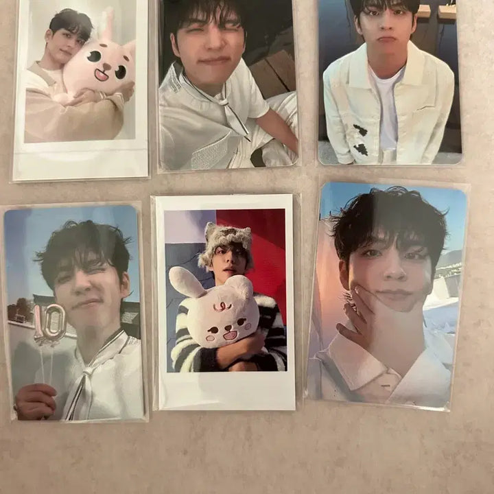 [BUNJANG] DAY6 Wonpil Photocard / 원필 포카