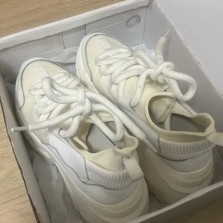 [SOLD OUT] 8cm 굽 스탠딩화 팔아요