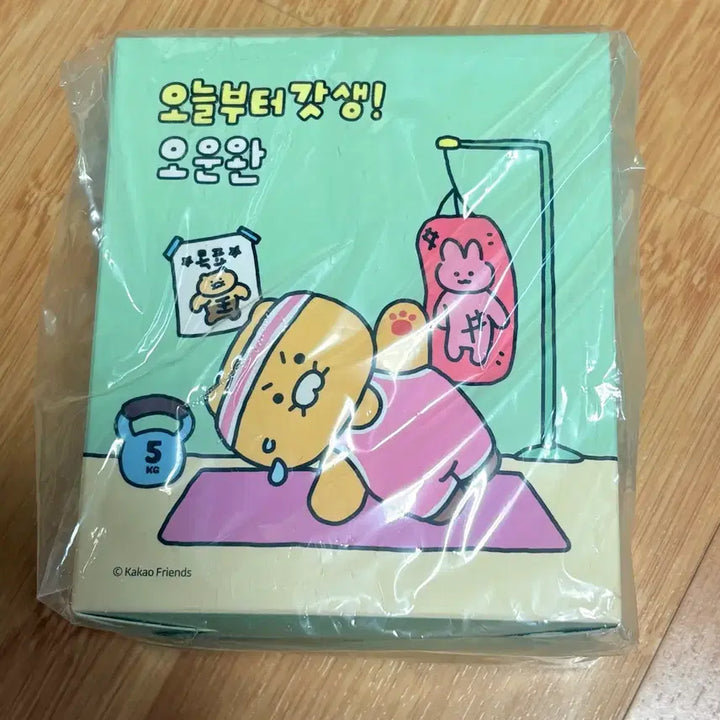 [BUNJANG] Kakao Chunsik Gadsaeng Yoga Figure / 카카오 춘식이 갓생 피규어 새상품