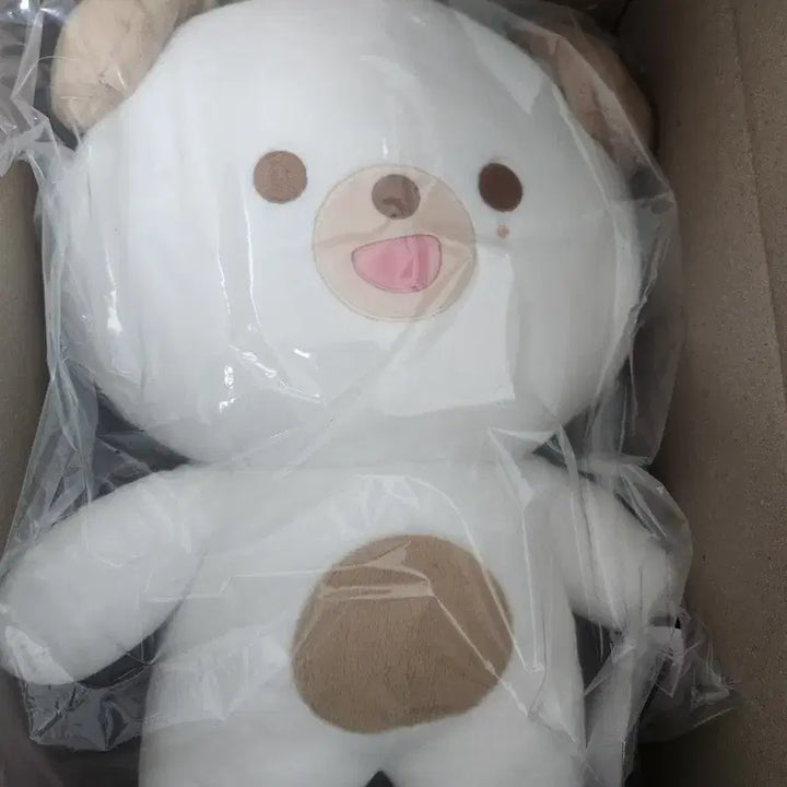 [SOLD OUT] 데이식스 도운 돈 자이언트 쁘띠멀즈 자쁘멀
