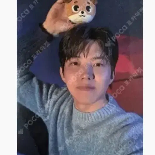 [SOLD OUT] 데이식스 도운 돈 자이언트 쁘띠멀즈 자쁘멀