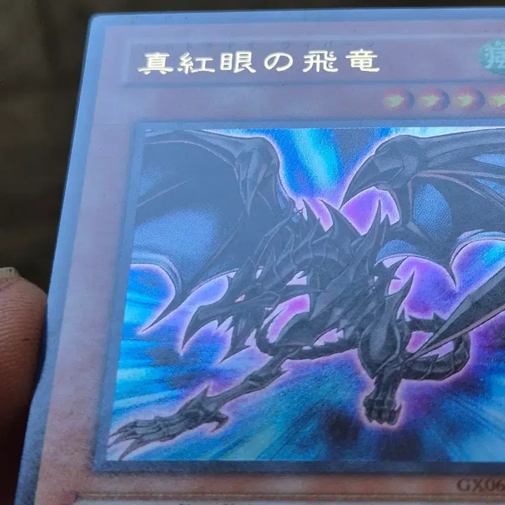 [BUNJANG] Yu-Gi-Oh! Red-Eyes Black Dragon Japanese Ultimate Rare / 유희왕 붉은눈의 비룡 일판 울레