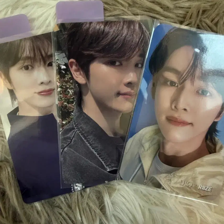 [SOLD OUT] (마지막 가격) 라이즈 원빈 성찬 은석 소희 앤톤 포카 앨범 일괄