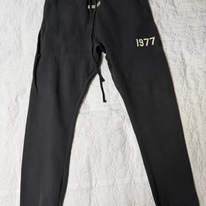 [BUNJANG] Fear of God Essentials 1977 Sweatpants Iron M / [M] 피오갓 에센셜 1977 스웻팬츠 아이언 - 22SS