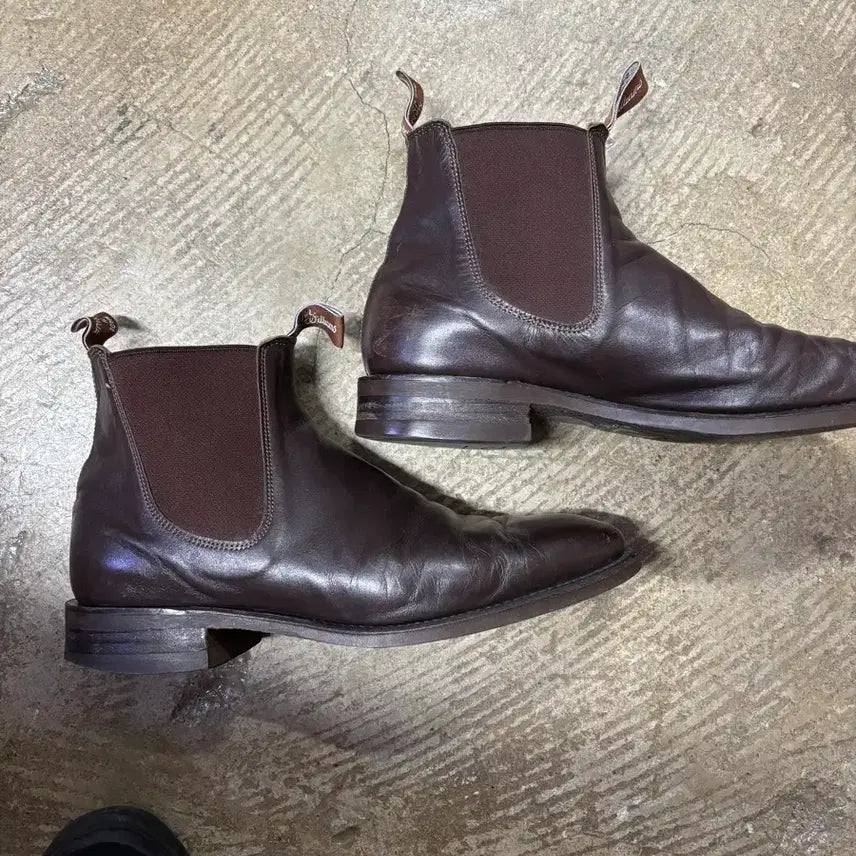 [BUNJANG] R.M. Williams Kangaroo Chelsea Boots / r.m williams 캥거루 첼시부츠