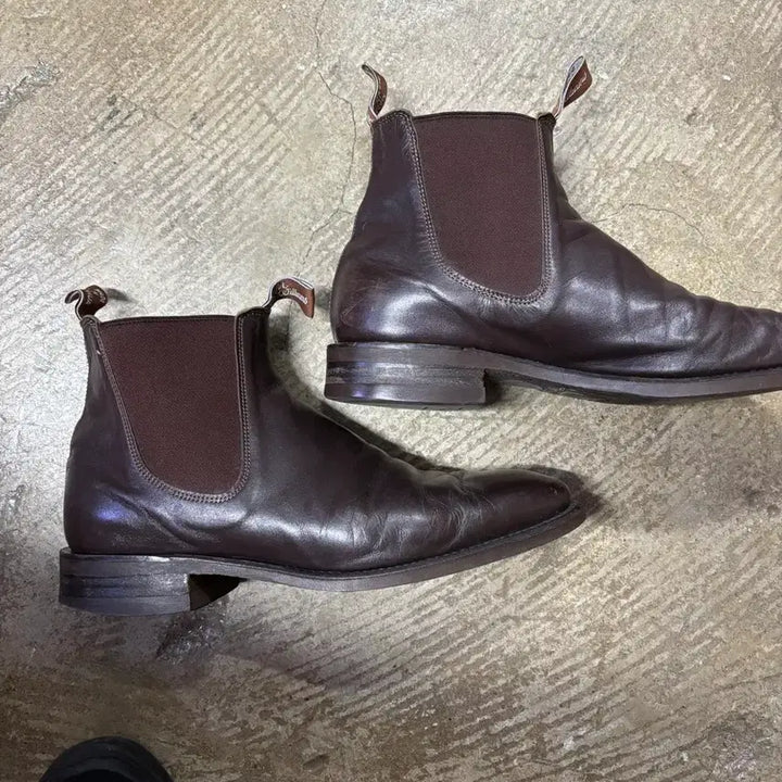 [BUNJANG] R.M. Williams Kangaroo Chelsea Boots / r.m williams 캥거루 첼시부츠