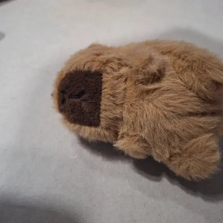 [BUNJANG] Capybara Keyring / 카피바라 키링