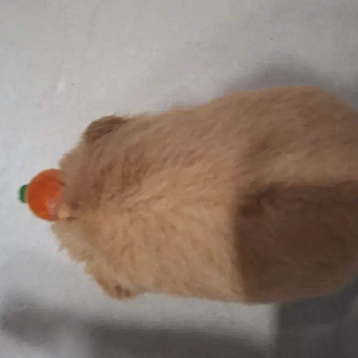 [BUNJANG] Capybara Keyring / 카피바라 키링