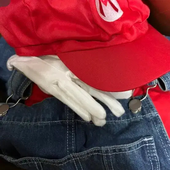 [BUNJANG] Mario Cosplay Costume Rental / 마리오 졸업사진 대여 해드립니다