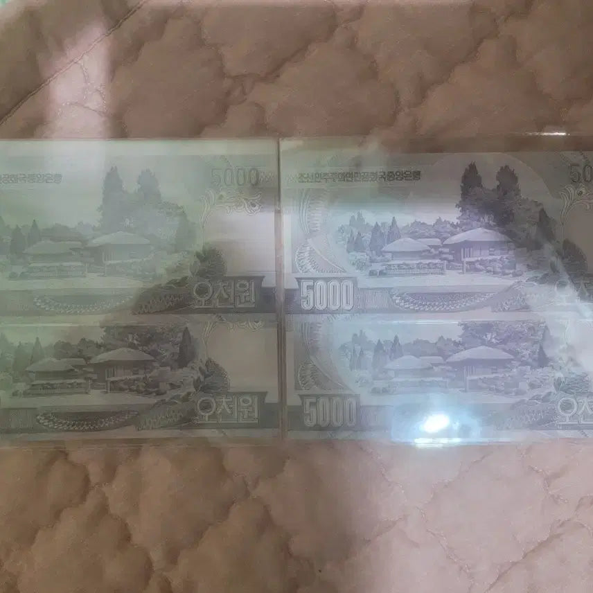 [BUNJANG] North Korean 5000 Won Banknotes (Set of 4) / 북한 5000원
