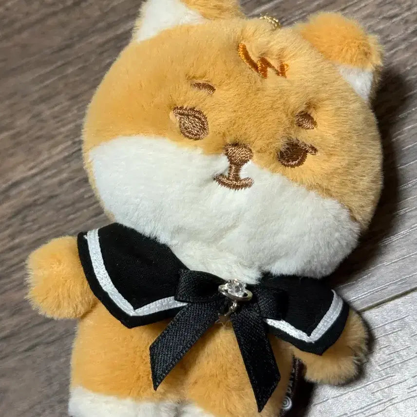 [SOLD OUT] 데이식스 쁘띠멀즈 케 양도합니다