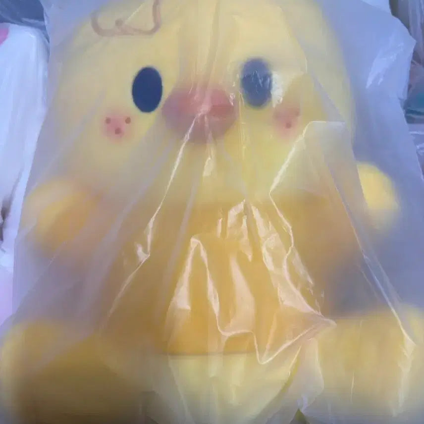 [SOLD OUT] 스키주 나 안아 hug me 뽁아리