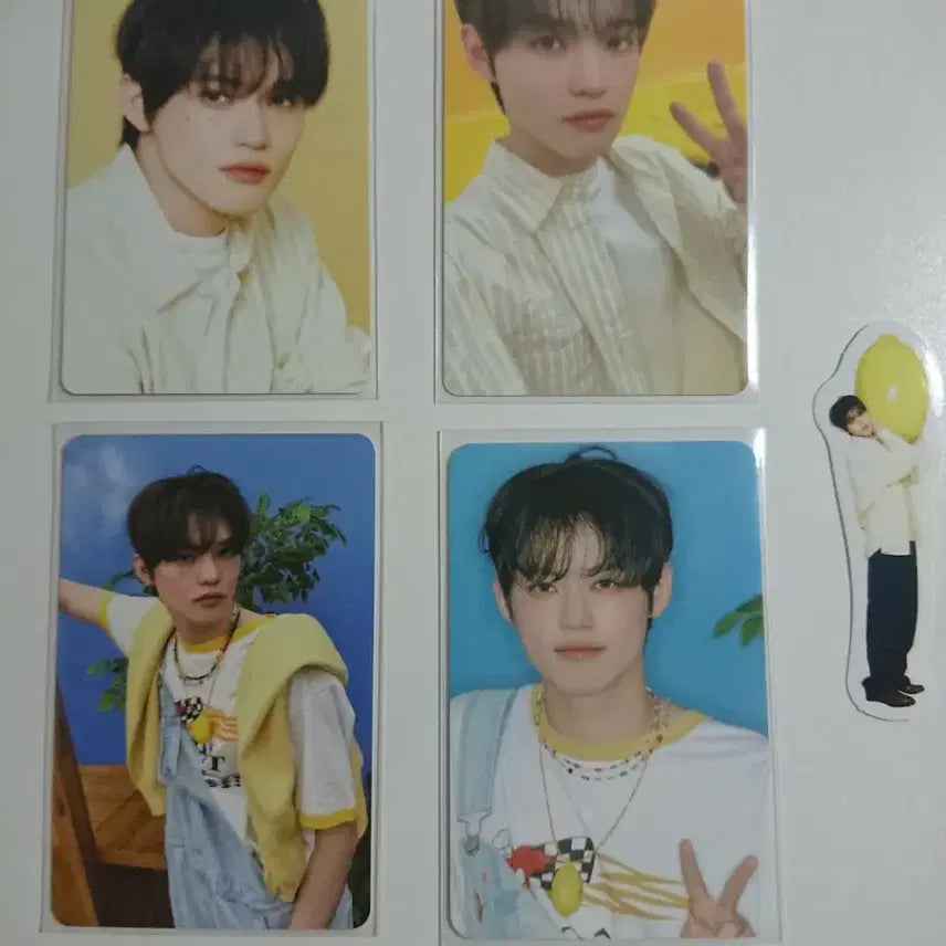 [BUNJANG] NCT DREAM Chenle 2026 Season&