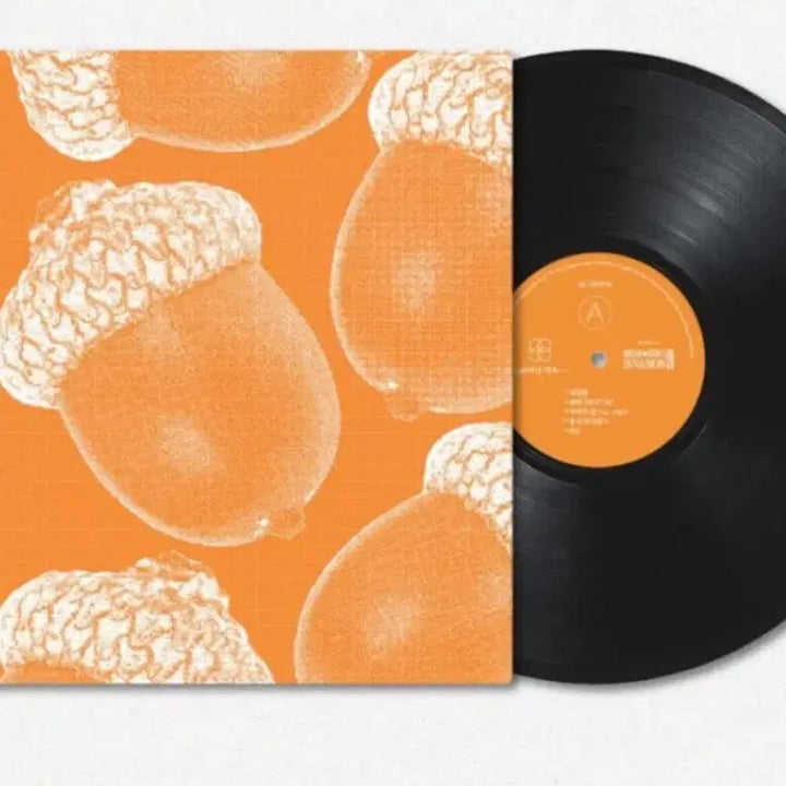 [BUNJANG] Yoodabinband GSI LP / 유다빈밴드 gsi lp