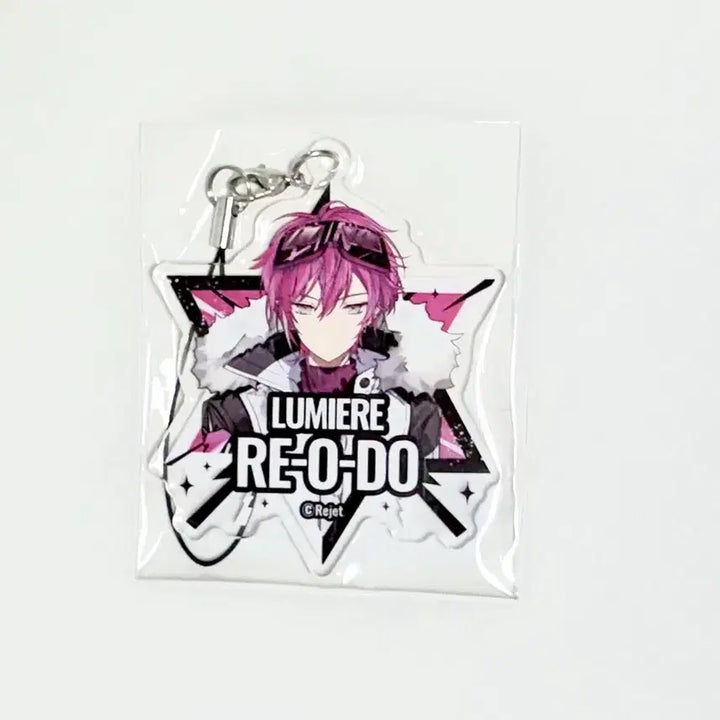 [BUNJANG] Dear Vocalist Leo Snow Mountain Kuji Keyring / 디어보컬리스트 디어보 레오도 설산 쿠지 키링