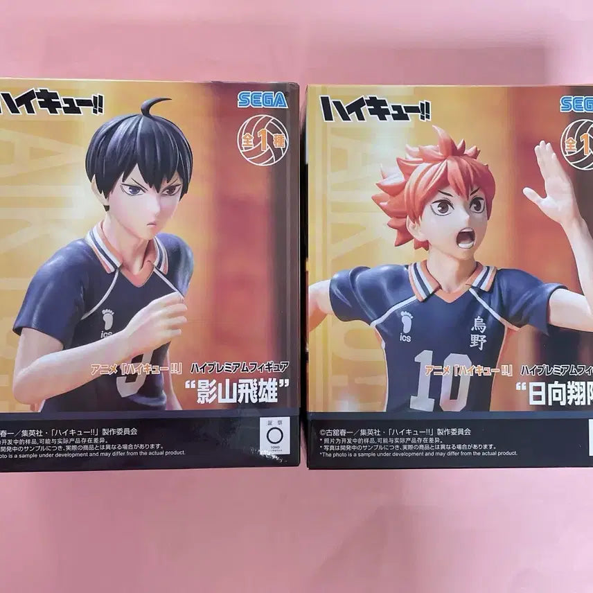 [BUNJANG] Haikyuu!! Kageyama Hinata Premium Figure / 하이큐 카게야마 히나타 프리미엄 피규어