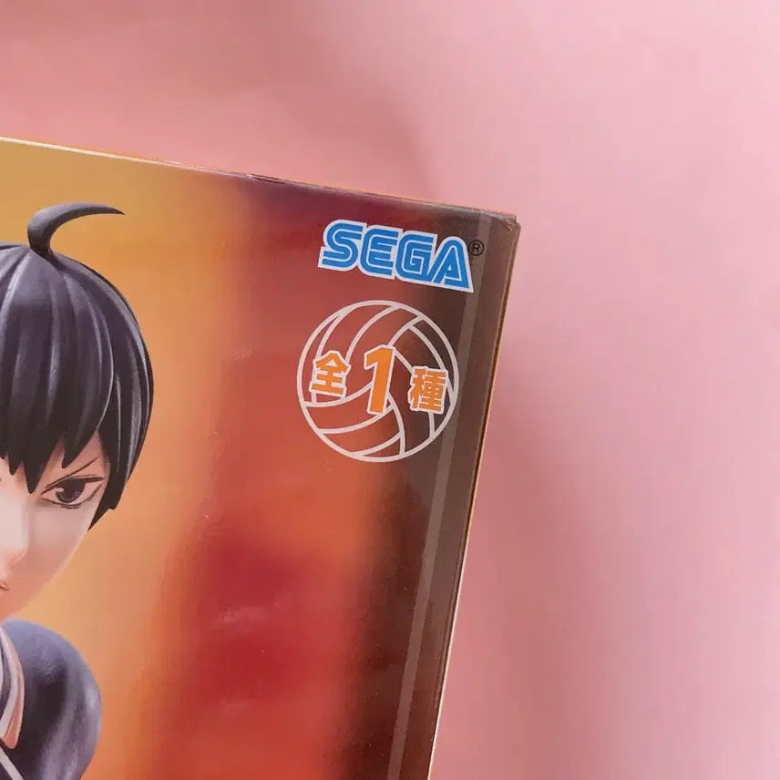 [BUNJANG] Haikyuu!! Kageyama Hinata Premium Figure / 하이큐 카게야마 히나타 프리미엄 피규어