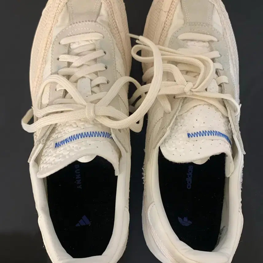 [BUNJANG] Adidas Bad Bunny Adizero Running Shoes / 아디다스 배드버니 아디제로 러닝슈즈