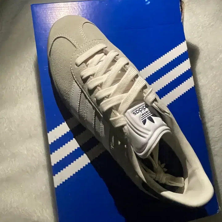 [BUNJANG] Adidas Gazelle Golf Shoes (26cm) / [새상품]26ss아디다스 가젤 골프화