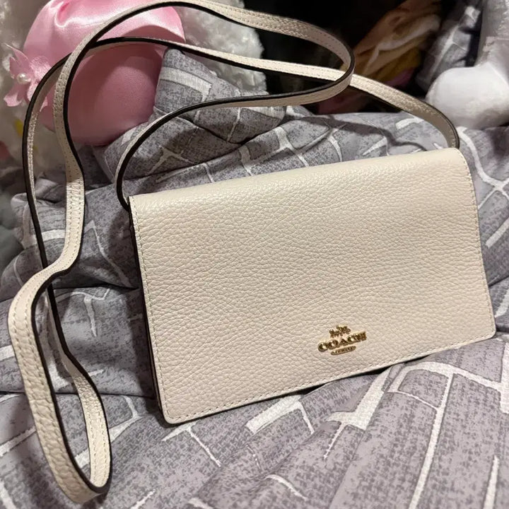 [BUNJANG] Coach Handbag / 코치 가방