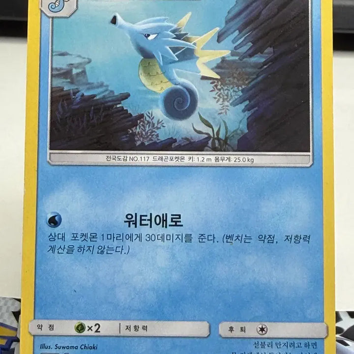 [BUNJANG] SEVENTEEN Ordinary Card B+ Condition Album Use / 시드라 일반 카드 [200원] B+급 앨범용
