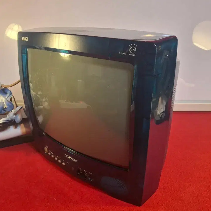 [BUNJANG] Daewoo Electronics Noodo TV (2000) / 2000년식 대우전자 누두 TV