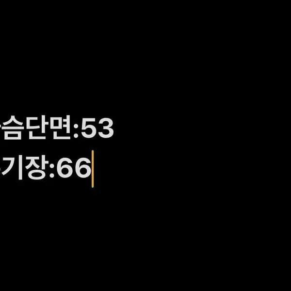 [BUNJANG] [정품/100] 루이까스텔 반팔 티셔츠   CC / [정품/100] 루이까스텔 반팔 티셔츠   CC
