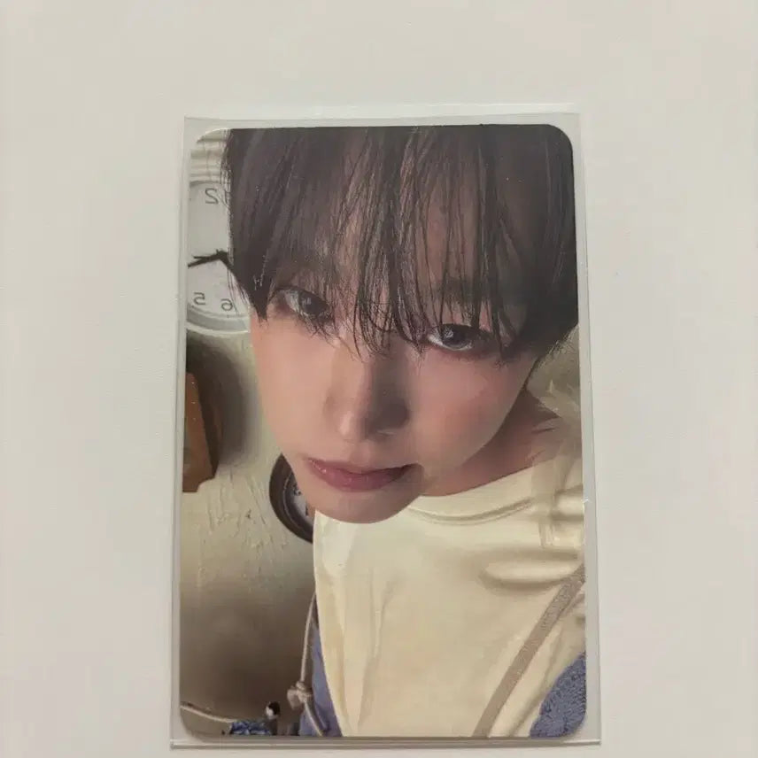 [SOLD OUT] nct wish 엔시티위시 리쿠 오드투러브 패키지 에로스 포카