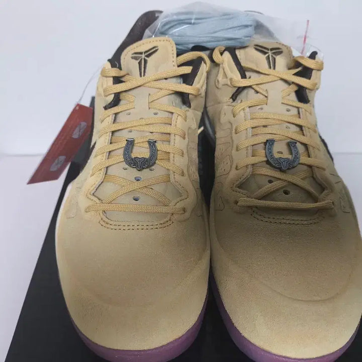 [SOLD OUT] [290] 코비8 프로트로