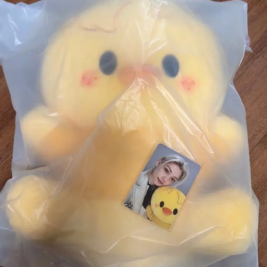 [BUNJANG] Stray Kids EAATW Hug Me Felix Photocard Bundle Set / 스키즈 팝업 EAATW Hug me 뽁아리