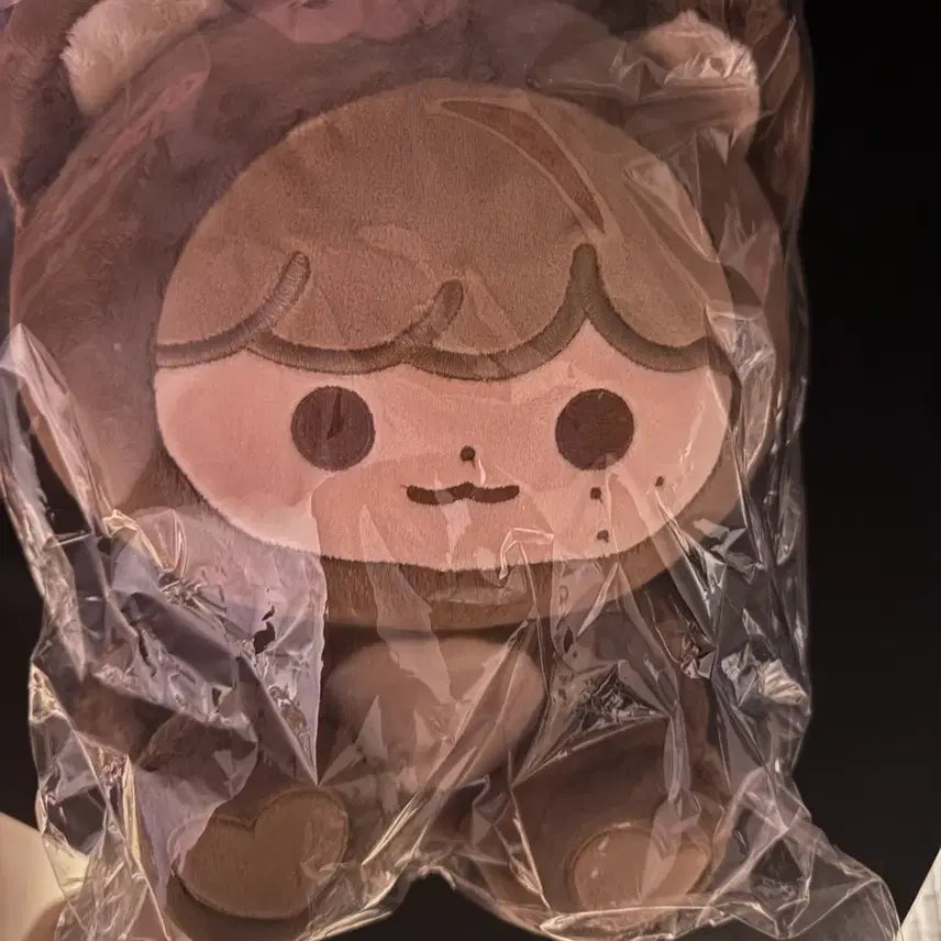 [SOLD OUT] 해찬 다님 곰효기 왕효기