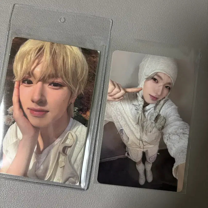 [SOLD OUT] 오드투러브 팝업 포카 사쿠야 후드 포카 일괄