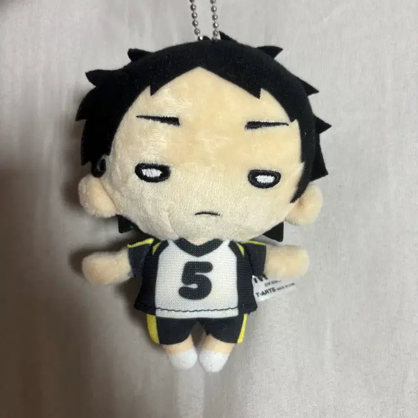[BUNJANG] Haikyuu Akaashi Plush / 아카아시 누이 판매