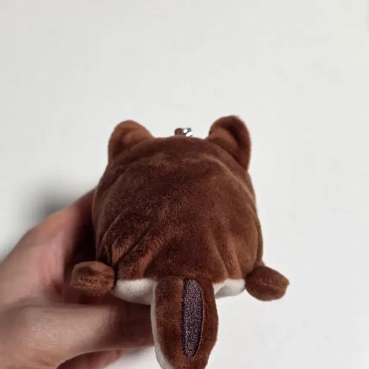 [SOLD OUT] 2021 데이식스 쁘띠멀즈 사족보행 케 + 다람쥐 옷