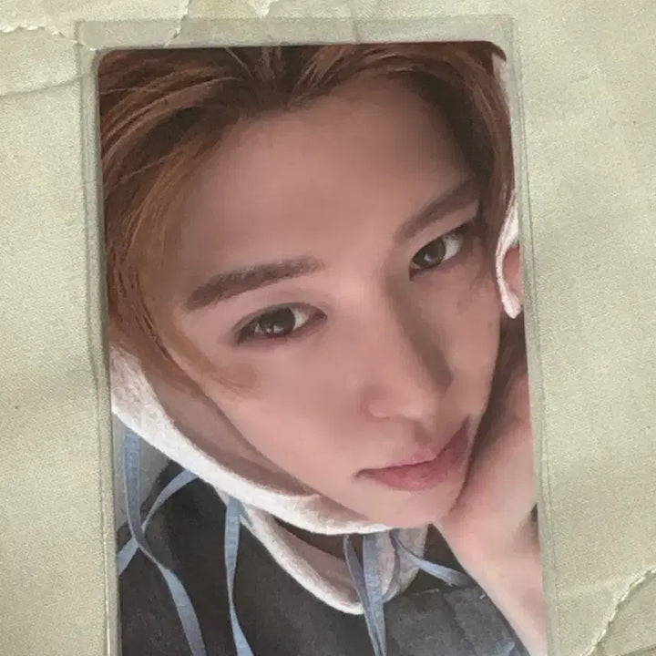 [BUNJANG] NCT WISH Odd to Love Sion Photocard / 엔시티위시 오드투러브 스미니 시온 포카 팝니다