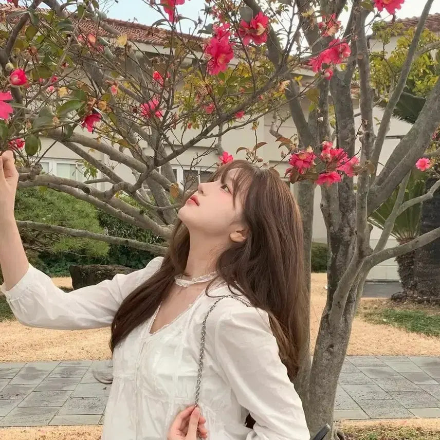 [BUNJANG] The Vanett Renelle Lace Tie Blouse / 더바넷 renelle lace tie 블라우스