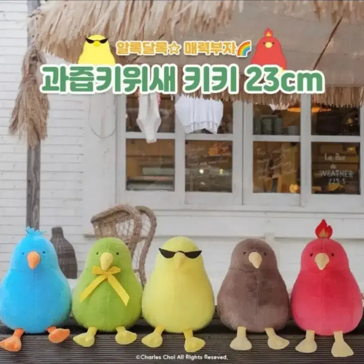 [BUNJANG] Kiki Juice Kiwi Bird Plush 23cm / 키키 과즙 키위새 인형 23cm