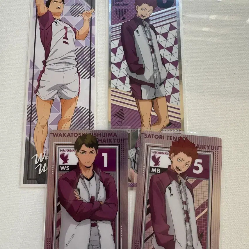 [BUNJANG] Haikyu Shiratorizawa Tendo Ushijima Bundle Set / 하이큐 시라토리자와 텐도 우시지마 지류(일괄