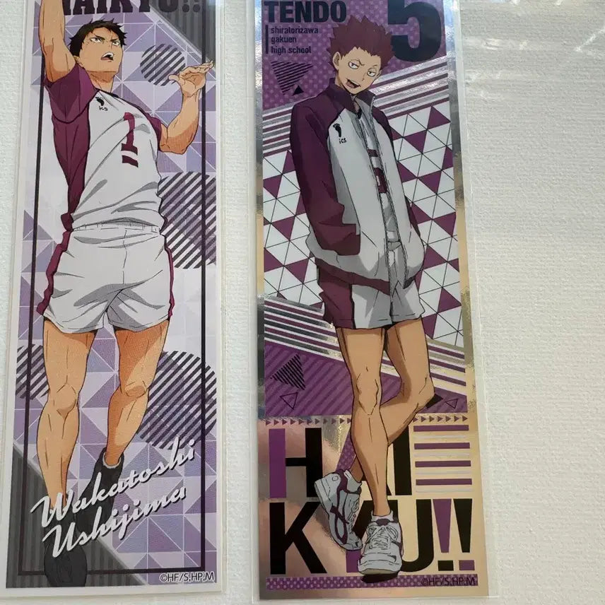 [BUNJANG] Haikyu Shiratorizawa Tendo Ushijima Bundle Set / 하이큐 시라토리자와 텐도 우시지마 지류(일괄
