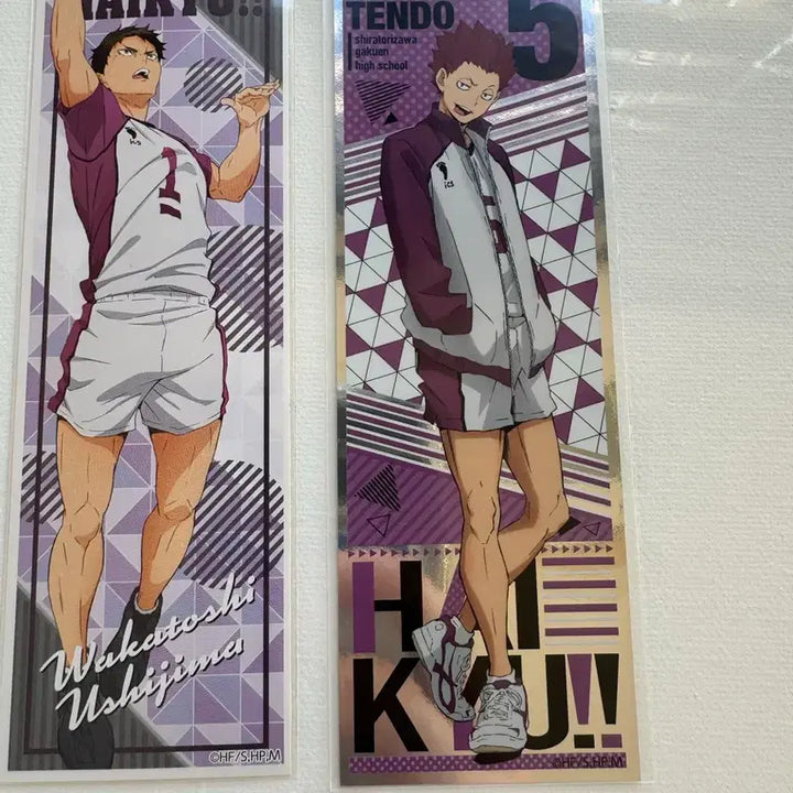 [BUNJANG] Haikyu Shiratorizawa Tendo Ushijima Bundle Set / 하이큐 시라토리자와 텐도 우시지마 지류(일괄