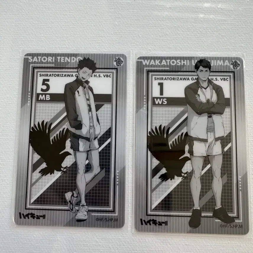 [BUNJANG] Haikyu Shiratorizawa Tendo Ushijima Bundle Set / 하이큐 시라토리자와 텐도 우시지마 지류(일괄