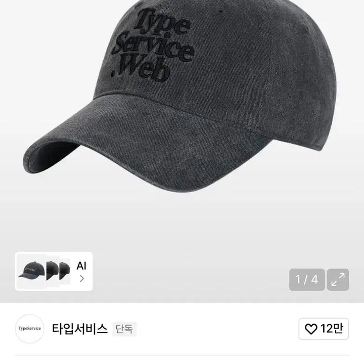 [BUNJANG] Type Service Dark Grey Cap / 타입서비스 볼캡 다크그레이