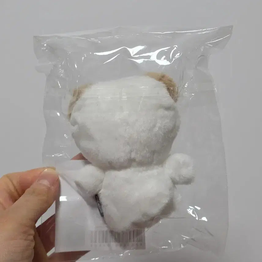 [BUNJANG] DAY6 Petitmals Finger Puppet - Don (Sealed) / (미개봉 새제품) 데이식스 쁘띠멀즈 핑거 - 돈