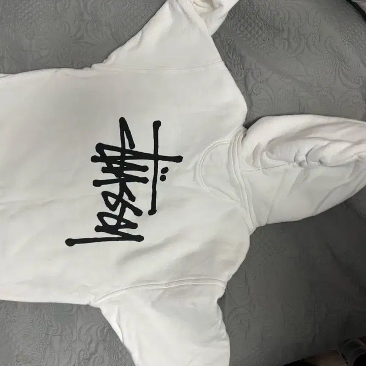 [BUNJANG] Stussy Hoodie L / 스투시 후드티 L