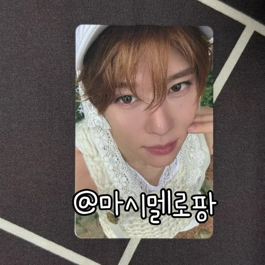 [SOLD OUT] 엔시티위시 오드투러브 빅스미니 에로스 시온 포카 포토카드 nct