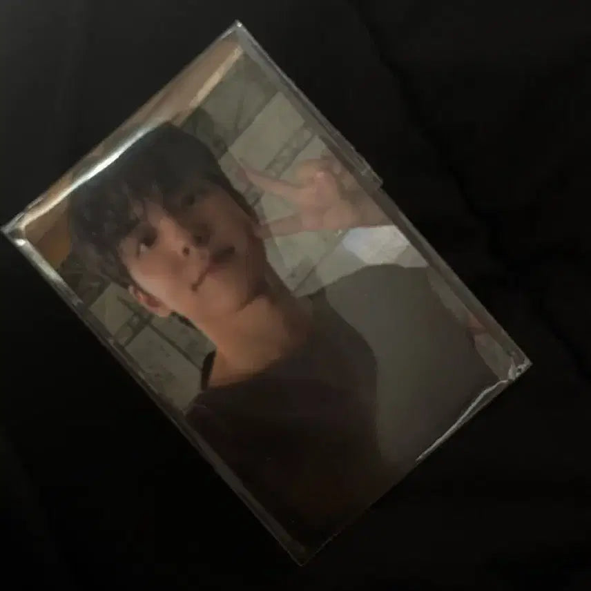 [BUNJANG] Day6 Young K Vans Photocard / 데이식스 원필 반스 포카