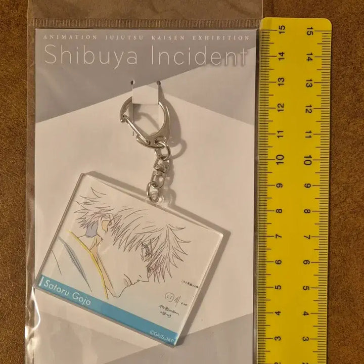 [BUNJANG] Jujutsu Kaisen Gojo Acrylic Charm 2-Type Bundle Set / 주술회전 고죠사토루 원화 아크릴키링 2종 일괄