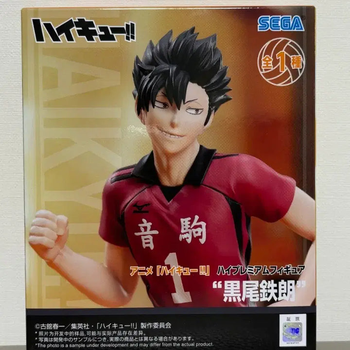 [BUNJANG] Sega Haikyuu!! Tetsuro Kuroo Figure (Sealed) / (미개봉) 세가 하이큐 쿠로오 테츠로 피규어