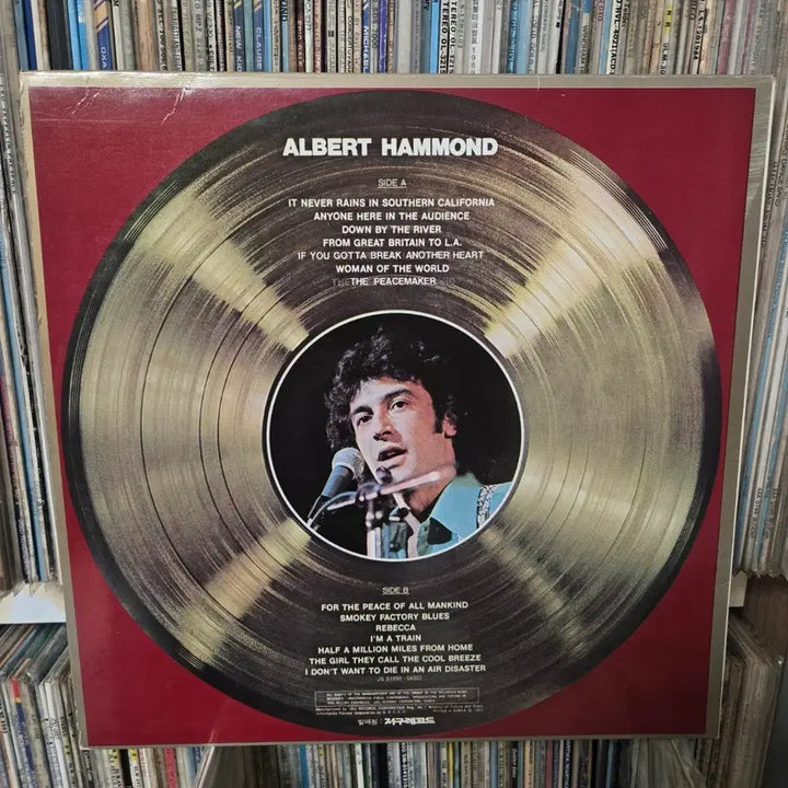 [BUNJANG] Albert Hammond LP Vinyl Record / 앨버트 해먼드 Albert Hammond LP판