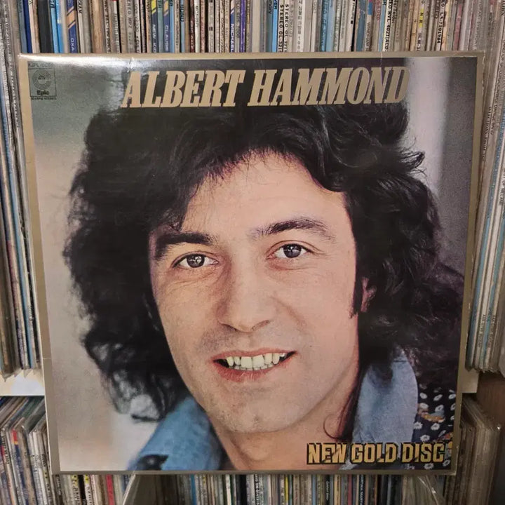 [BUNJANG] Albert Hammond LP Vinyl Record / 앨버트 해먼드 Albert Hammond LP판